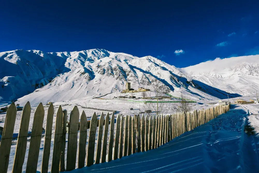 Millennium Travels Your Trusted Partner-Georgia Tour Packages