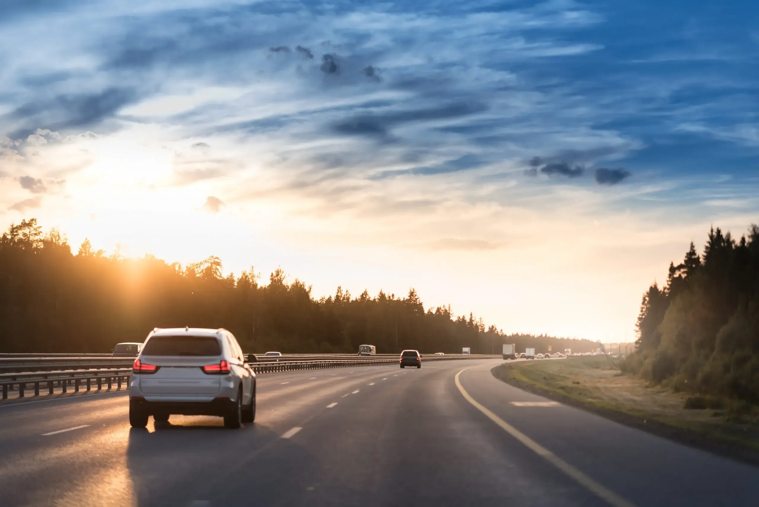 International Driving Permit